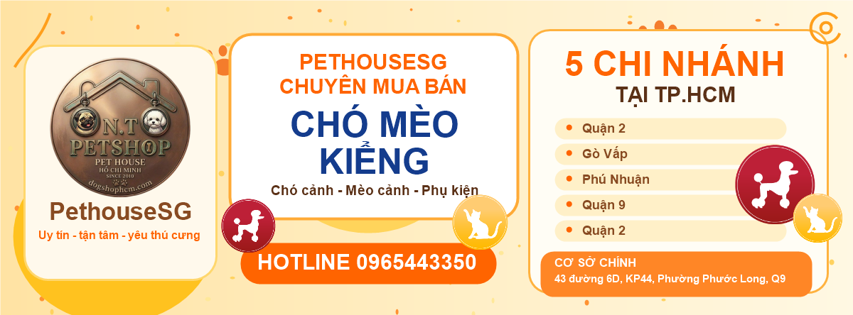 Banner PethouseSG